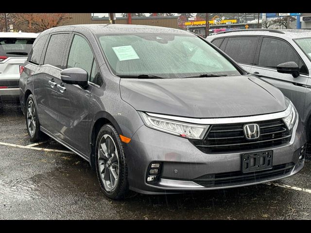 2023 Honda Odyssey Elite