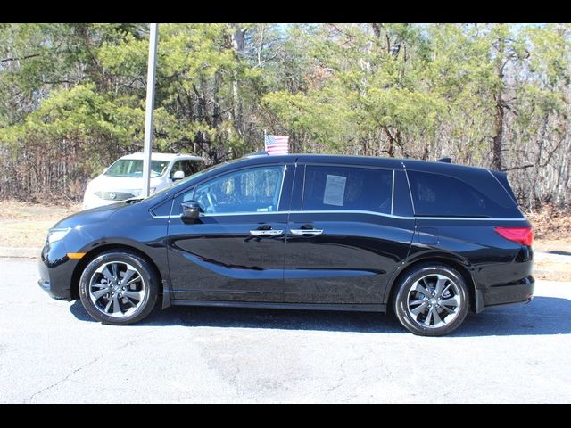 2023 Honda Odyssey Elite