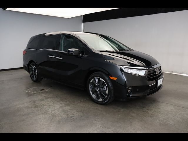 2023 Honda Odyssey Elite