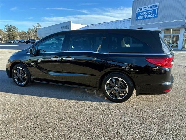 2023 Honda Odyssey Elite