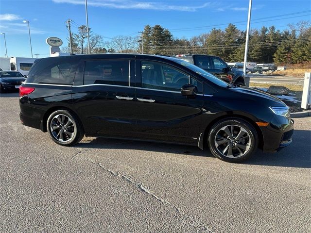 2023 Honda Odyssey Elite