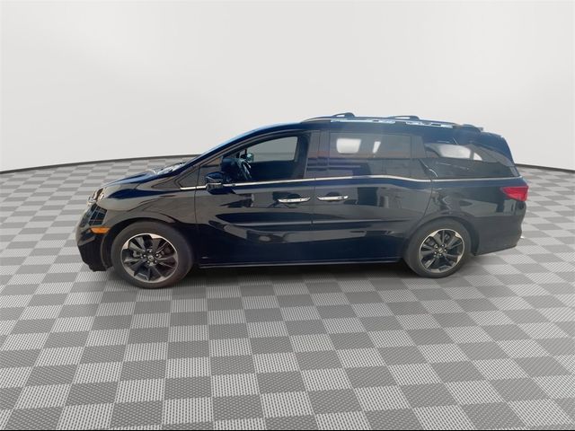 2023 Honda Odyssey Elite