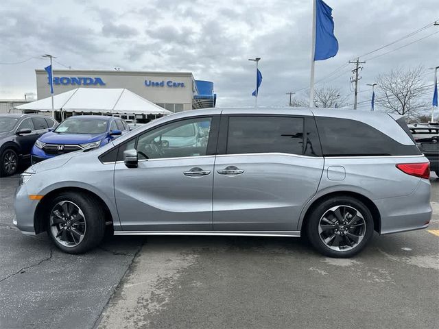 2023 Honda Odyssey Elite