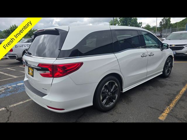 2023 Honda Odyssey Elite