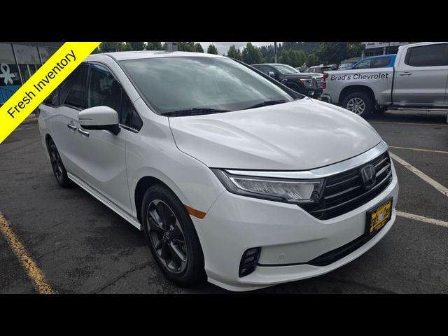 2023 Honda Odyssey Elite