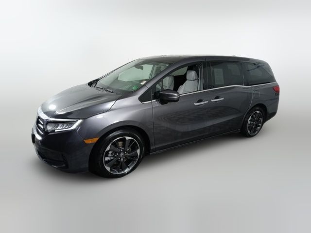 2023 Honda Odyssey Elite