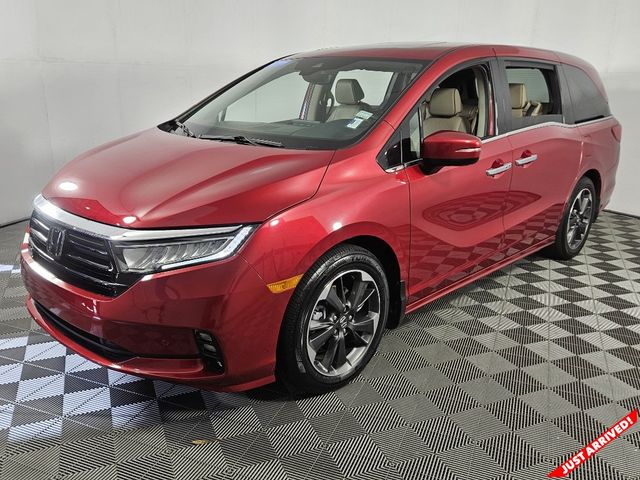 2023 Honda Odyssey Elite