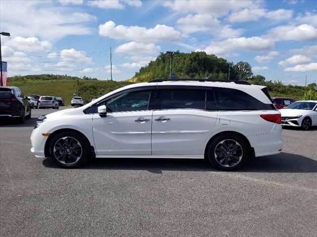 2023 Honda Odyssey Elite