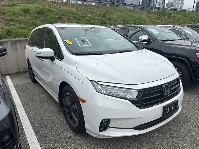2023 Honda Odyssey Elite