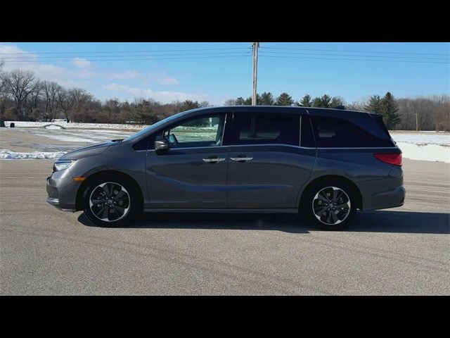 2023 Honda Odyssey Elite