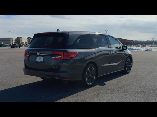 2023 Honda Odyssey Elite