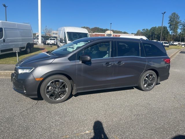 2023 Honda Odyssey Elite