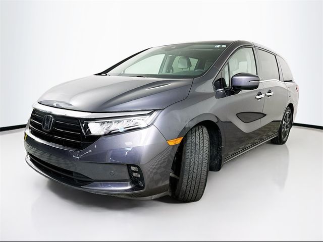 2023 Honda Odyssey Elite