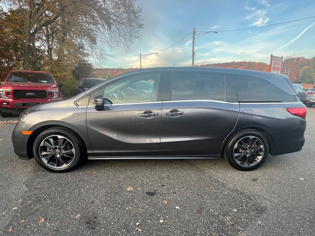 2023 Honda Odyssey Elite