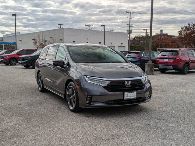 2023 Honda Odyssey Elite