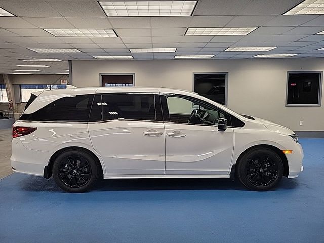 2023 Honda Odyssey Sport