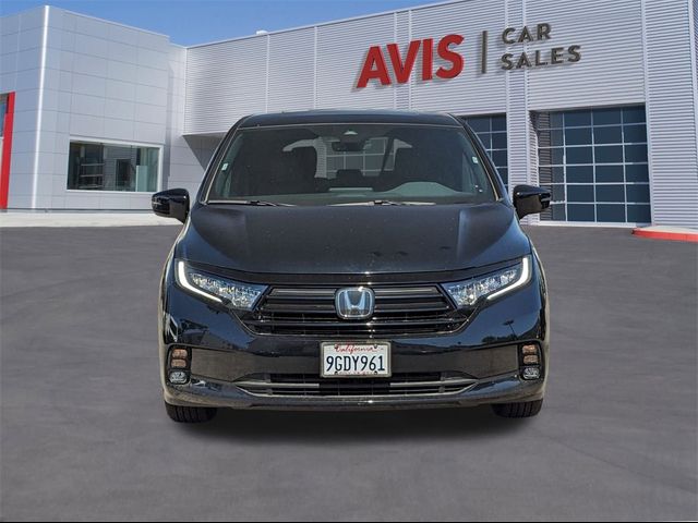 2023 Honda Odyssey Sport