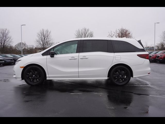 2023 Honda Odyssey Sport