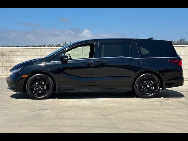 2023 Honda Odyssey Sport