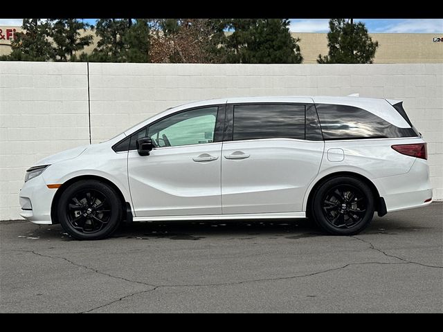 2023 Honda Odyssey Sport