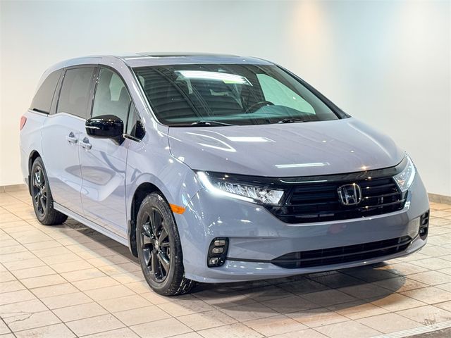 2023 Honda Odyssey Sport