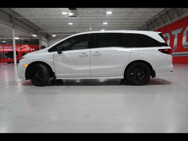 2023 Honda Odyssey Sport