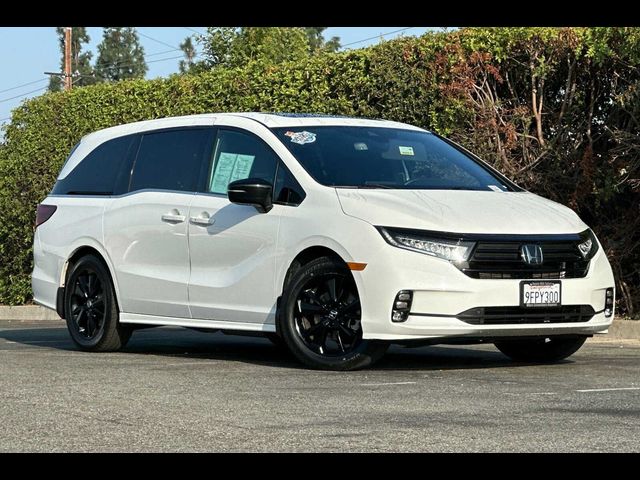 2023 Honda Odyssey Sport