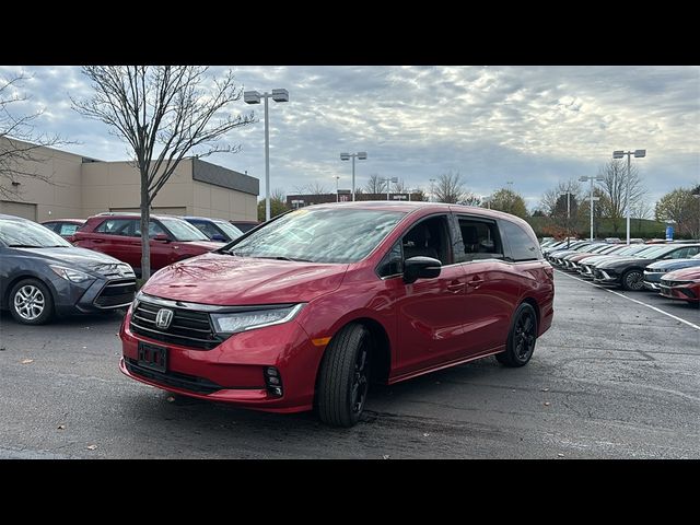 2023 Honda Odyssey Sport