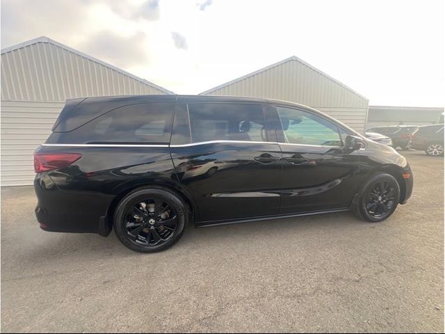 2023 Honda Odyssey Sport