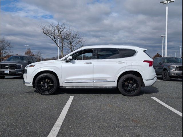 2023 Hyundai Santa Fe Calligraphy