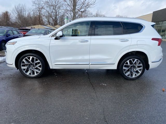 2023 Hyundai Santa Fe Calligraphy