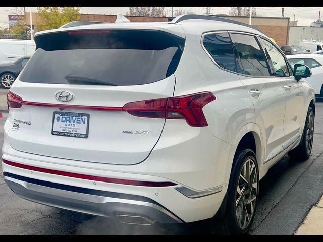 2023 Hyundai Santa Fe Calligraphy