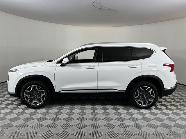 2023 Hyundai Santa Fe Hybrid SEL Premium