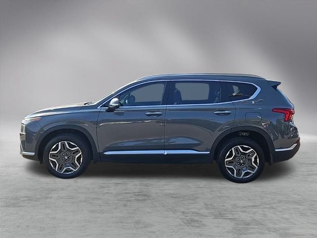 2023 Hyundai Santa Fe Hybrid SEL Premium