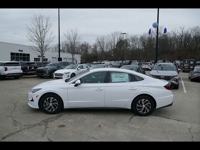 2023 Hyundai Sonata Hybrid Blue