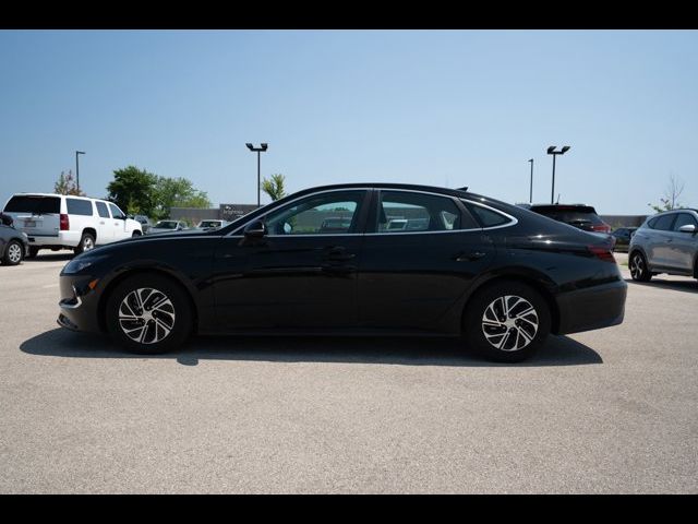 2023 Hyundai Sonata Hybrid Blue