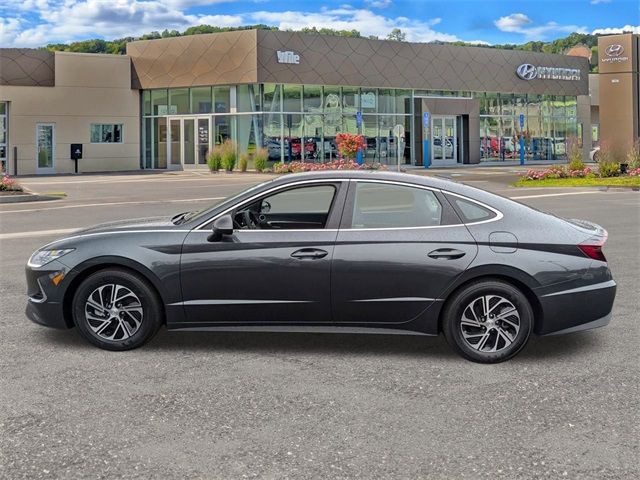 2023 Hyundai Sonata Hybrid Blue