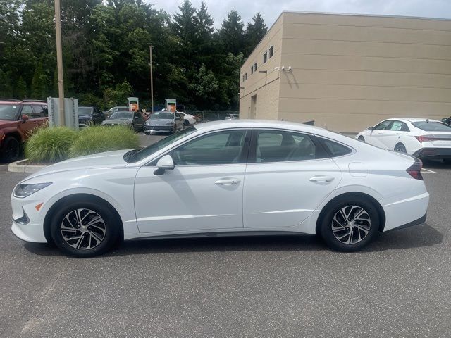 2023 Hyundai Sonata Hybrid Blue