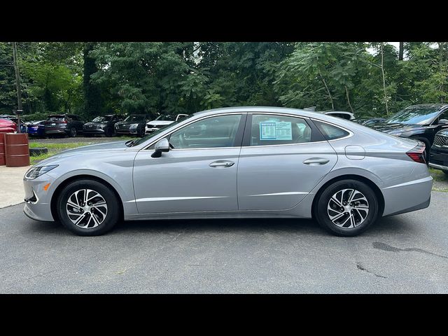 2023 Hyundai Sonata Hybrid Blue