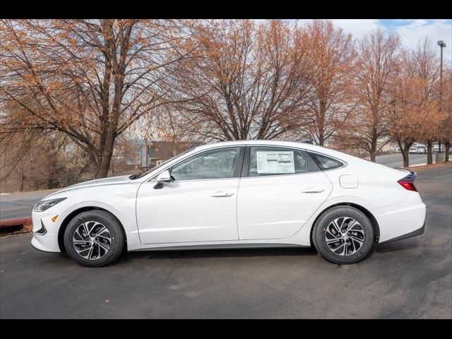 2023 Hyundai Sonata Hybrid Blue