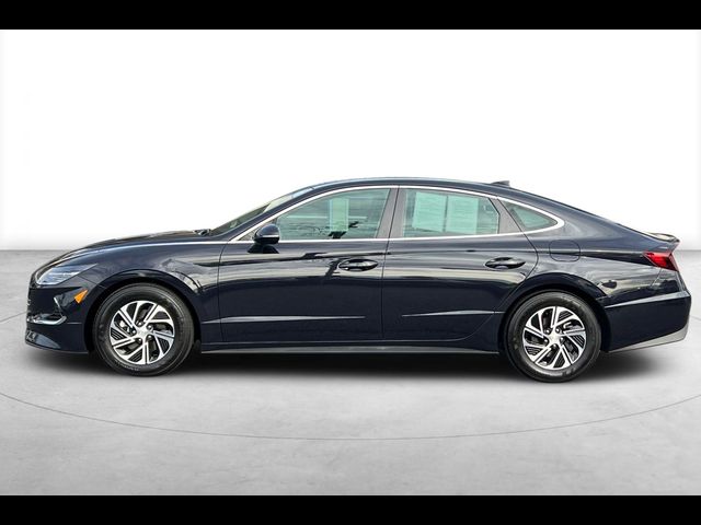 2023 Hyundai Sonata Hybrid Blue