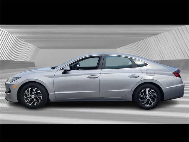 2023 Hyundai Sonata Hybrid Blue