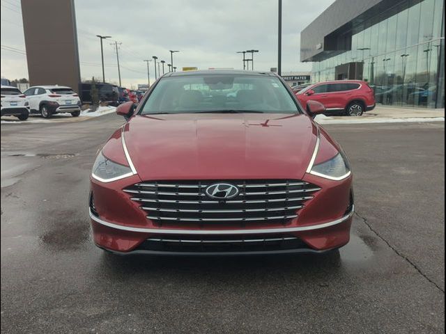 2023 Hyundai Sonata Hybrid Limited