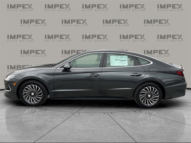 2023 Hyundai Sonata Hybrid Limited