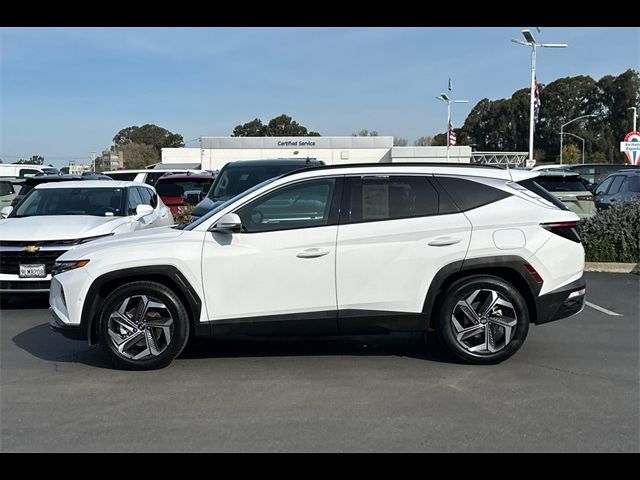 2023 Hyundai Tucson Limited