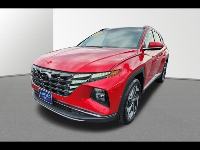 2023 Hyundai Tucson Limited