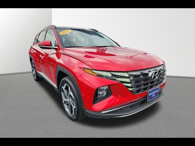 2023 Hyundai Tucson Limited