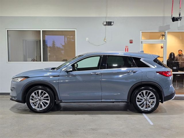 2023 INFINITI QX50 Luxe