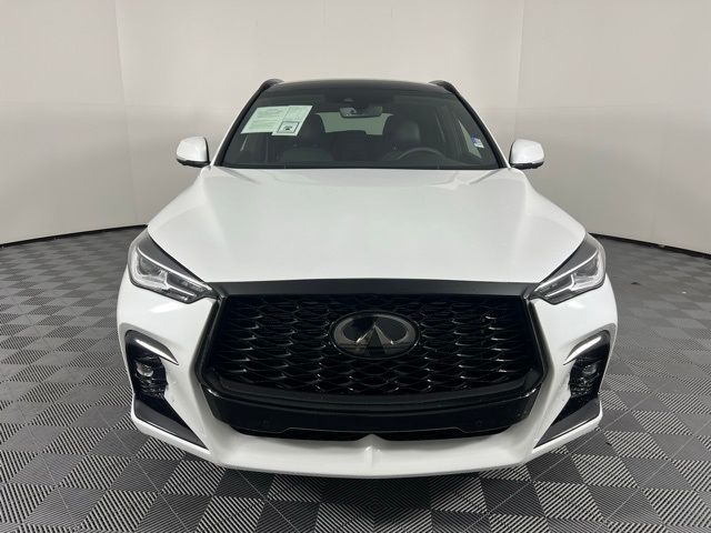 2023 INFINITI QX50 SPORT