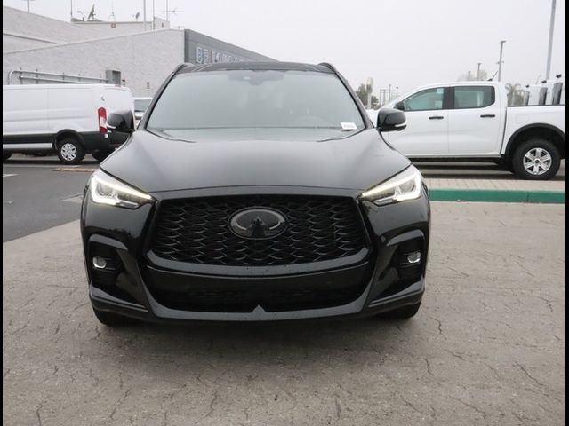 2023 INFINITI QX50 SPORT